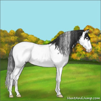 Horse Color:Black Sabino Splash Fewspot 