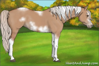 Horse Color:Silver Bay Dun Sabino Tobiano Frame Rabicano 