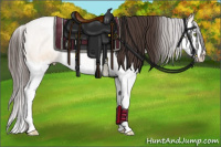 Horse Color:Amber Champagne Dun Splash 