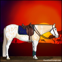Horse Color:Buckskin Dun Splash Appaloosa 