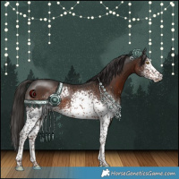 Horse Color:White Spotted Liver Chestnut 
