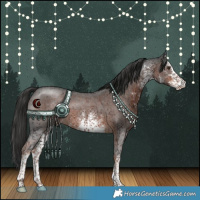 Horse Color:White Spotted Liver Chestnut 