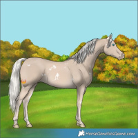Horse Color:White Spotted Cremello Mushroom 