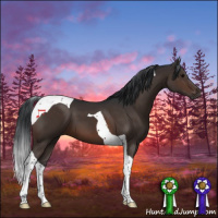 Horse Color:Brown Tobiano