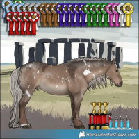 Horse Color:White Spotted Silver Grullo