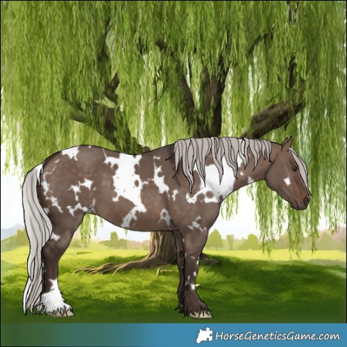 Horse Color:White Spotted Silver Brown Dun Mushroom 