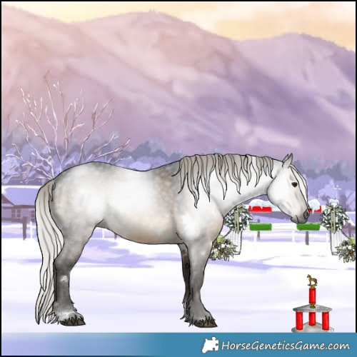 Horse Color:Gray White Spotted Silver Brown Dun 