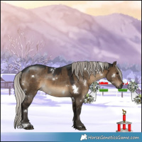 Horse Color:Gray White Spotted Silver Brown Dun 