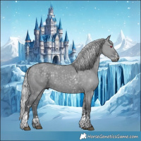 Horse Color:Silver Grullo Chinchilla Tobiano 