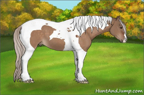 Horse Color:Silver Brown Dun Tobiano 