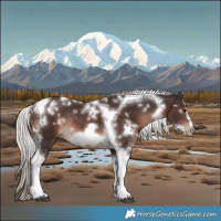 Horse Color:White Spotted Silver Brown Tobiano Frame Rabicano
