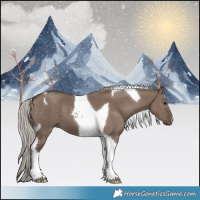 Horse Color:Silver Grullo Tobiano 
