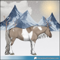 Horse Color:Silver Grullo Tobiano 