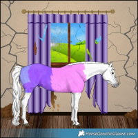 Horse Color:Gray Black 