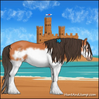Horse Color:Bay Splash Frame 