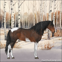 Horse Color:Liver Chestnut Sabino Tobiano 