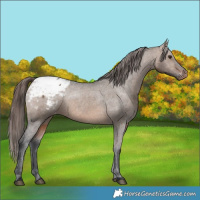 Horse Color:Brown Dun Snowcap 