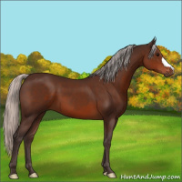 Horse Color:Silver Brown 