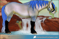 Horse Color:Watercolor Bay Onyx Splash 