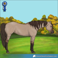 Horse Color:Liver Red Dun 