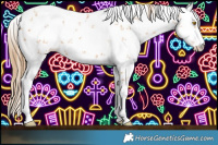Horse Color:White Spotted Bay Pearl Sabino 
