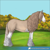 Horse Color:Red Dun Splash  and Red Dun Splash 