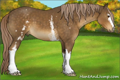 Horse Color:White Spotted Chocolate Palomino 