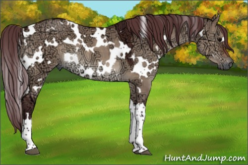 Horse Color:White Spotted Chocolate Brown Ice Dun 