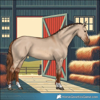 Horse Color:Red Dun 