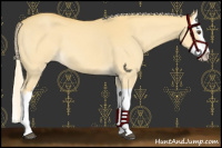 Horse Color:Palomino Dun Splash