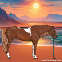 Horse Color:Chestnut Tobiano