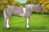 Horse Color:Silver Blue Roan Tobiano Frame 