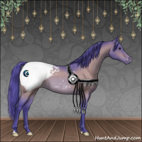 Horse Color:Watercolor Brown Roan Appaloosa 