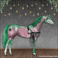 Horse Color:Gray Watercolor White Spotted Bay Appaloosa 