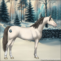 Horse Color:Amber Cream Champagne Roan 