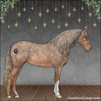 Horse Color:Red Ice Roan 