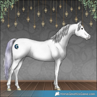 Horse Color:Gray Watercolor White Spotted Sable Champagne Onyx 