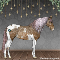 Horse Color:Painted Chestnut Ice Tobiano Rabicano 