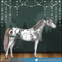 Horse Color:White Spotted Liver Chestnut Near Leopard Rabicano 