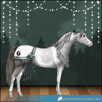 Horse Color:Liver Chestnut Tobiano Snowcap 
