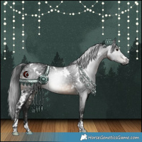 Horse Color:Gray White Spotted Brown 