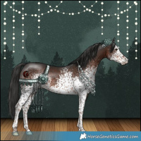 Horse Color:White Spotted Liver Chestnut Rabicano 