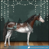 Horse Color:White Spotted Liver Chestnut Rabicano 