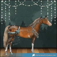 Horse Color:White Spotted Chocolate Palomino Tobiano Rabicano 