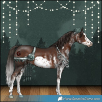 Horse Color:White Spotted Liver Chestnut Splash Frame 