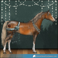 Horse Color:White Spotted Chocolate Palomino Tobiano 