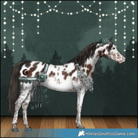 Horse Color:White Spotted Liver Chestnut Tobiano Appaloosa 