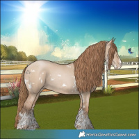 Horse Color:White Spotted Grullo Pearl Sabino Rabicano 