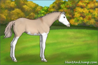 Horse Color:Silver Brown Dun Splash 