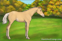 Horse Color:Silver Classic Cream Champagne 